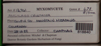 Image Associated With the Occurence